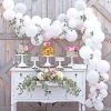 25 Ft. White & Pink Balloon & Eucalyptus Garland Kit - 370 Pc. -Party Decorations Sales Shop 25 ft white and pink balloon and eucalyptus garland kit 370 pc 13959523