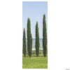 Ancient Greek Garden Cypress Scene Setter Background - 2 Pc. -Party Decorations Sales Shop ancient greek garden cypress scene setter background 2 pc 13820556