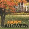 Black & Orange Happy Halloween Yard Signs -Party Decorations Sales Shop black and orange happy halloween yard signs13968345
