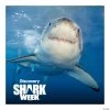 Discovery Shark Weekâ„¢ Backdrop 1 Discovery Shark Weekâ„¢ Backdrop -Party Decorations Sales Shop discovery shark week backdrop14104668