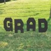 Grad Yard Stakes - 4 Pc. 1 Grad Yard Stakes - 4 Pc. -Party Decorations Sales Shop grad yard stakes 4 pc 13940129