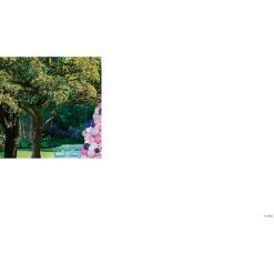 9" Latex Balloons - 24 Pc. -Party Decorations Sales Shop hot pink 9 latex balloons 24 pc 13703834 a02