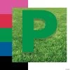Letter P Yard Signs -Party Decorations Sales Shop letter p yard signs13958369