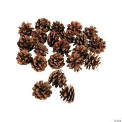 Mini Natural Pinecones - 24 Pc.