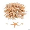 Mini Natural Sugar Starfish - 500 Pc. -Party Decorations Sales Shop mini natural sugar starfish 500 pc 34 466