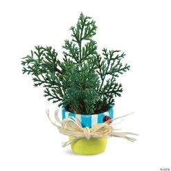 Mini Terra Cotta Pots - 12 Pc. -Party Decorations Sales Shop mini terra cotta pots 12 pc 48 8147 a01