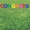 Multi-Color Congrats Yard Signs -Party Decorations Sales Shop multi color congrats yard signs13958242