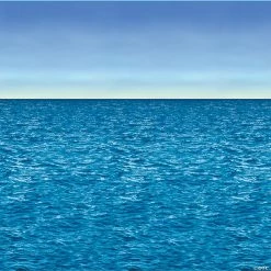 Ocean And Sky Backdrop