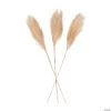 Pampas Grass - 3 Pc. 2 Pampas Grass - 3 Pc. -Party Decorations Sales Shop pampas grass 3 pc 13829612
