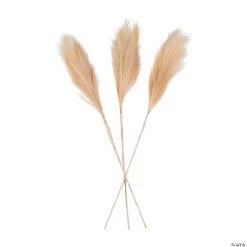 Pampas Grass - 3 Pc.