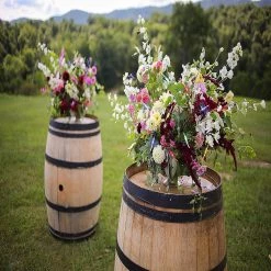 ProductWorks Ultra Plus LED 10 Lights Battery Operated LED Lights- Dragonfly -Party Decorations Sales Shop productworks ultra plus led 10 lights battery operated led lights dragonfly14253056 a02NOWA