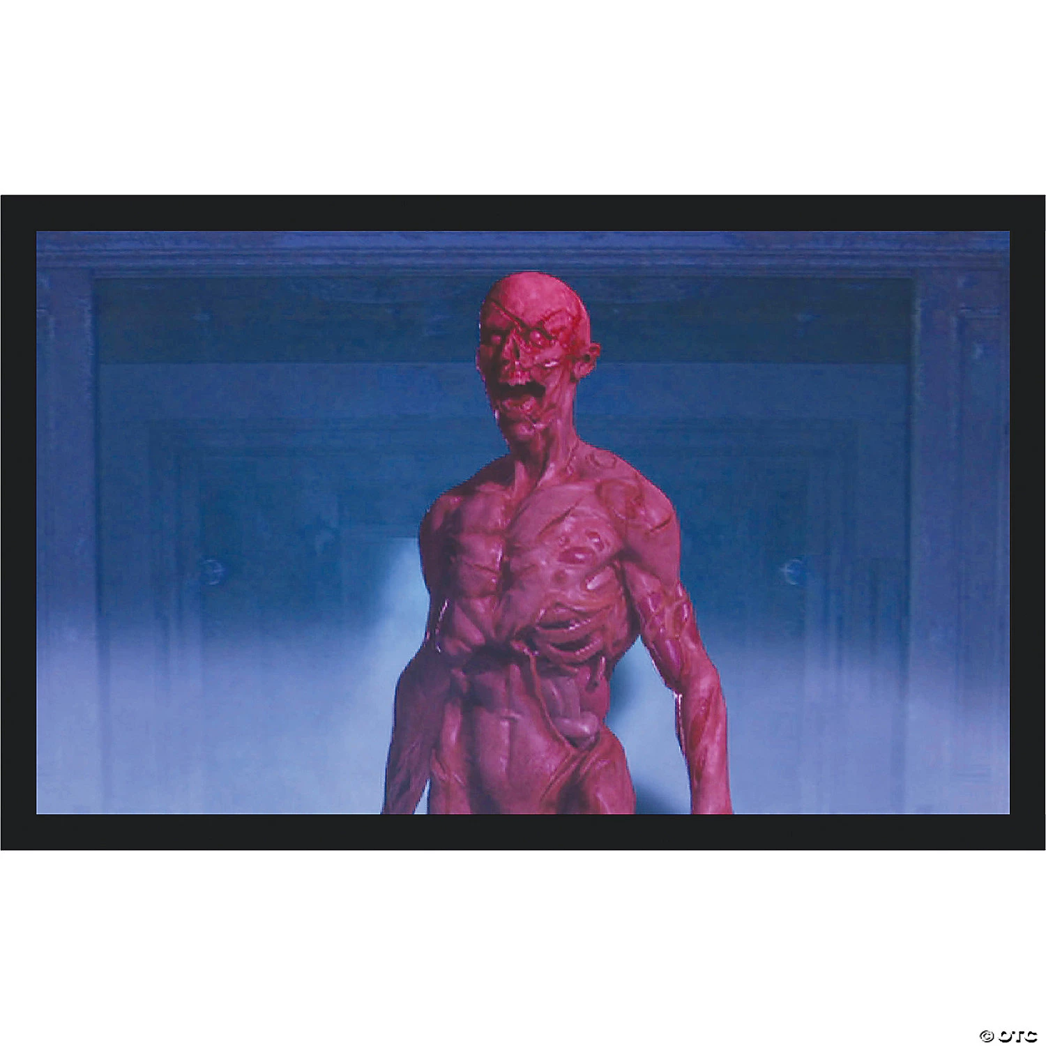 ProFX Projector Kit 5 ProFX Projector Kit - Image 3