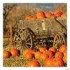 Pumpkin Patch Backdrop 2 Pumpkin Patch Backdrop -Party Decorations Sales Shop pumpkin patch backdrop13952255