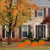 Pumpkin Yard Signs - 4 Pc.