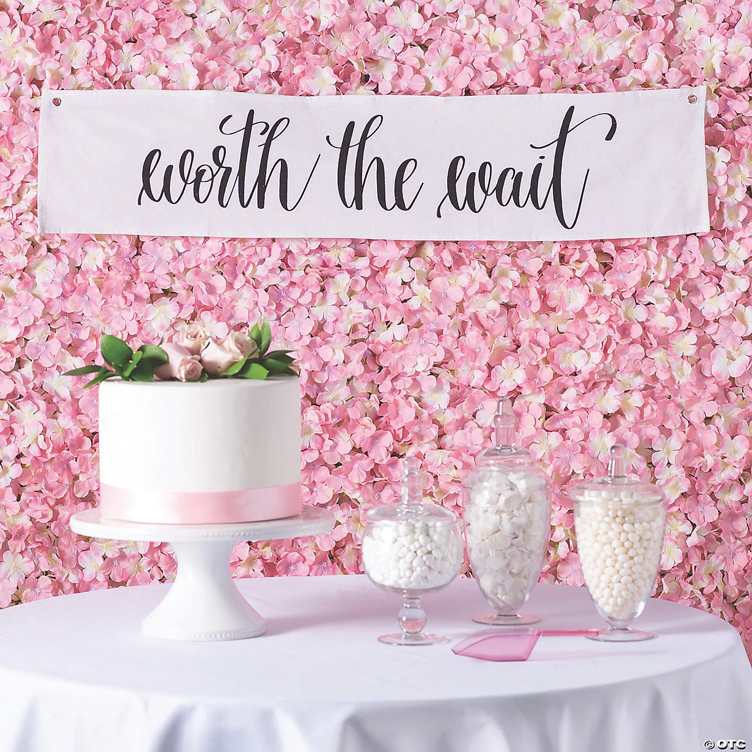 Small Worth the Wait Banner 4 Small Worth the Wait Banner - Image 2