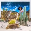 Southwest VBS Cactus & Animal Scene Decorating Kit - 4 Pc. -Party Decorations Sales Shop southwest vbs cactus and animal scene decorating kit 4 pc 14122435