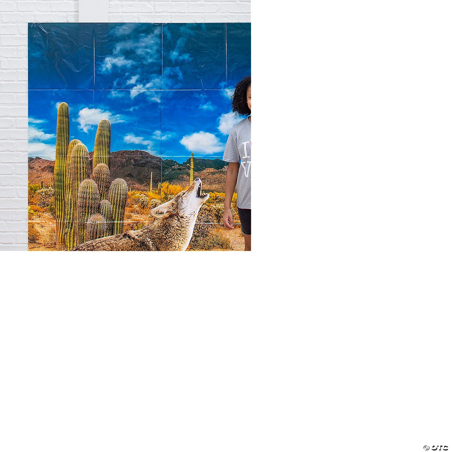 Southwest VBS Coyote Desert Scene Decorating Kit - 3 Pc. 2 Southwest VBS Coyote Desert Scene Decorating Kit - 3 Pc.