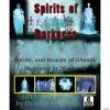 Spirits Of Darkness Digital Decor 2 Spirits Of Darkness Digital Decor -Party Decorations Sales Shop spirits of darkness digital decorrv208