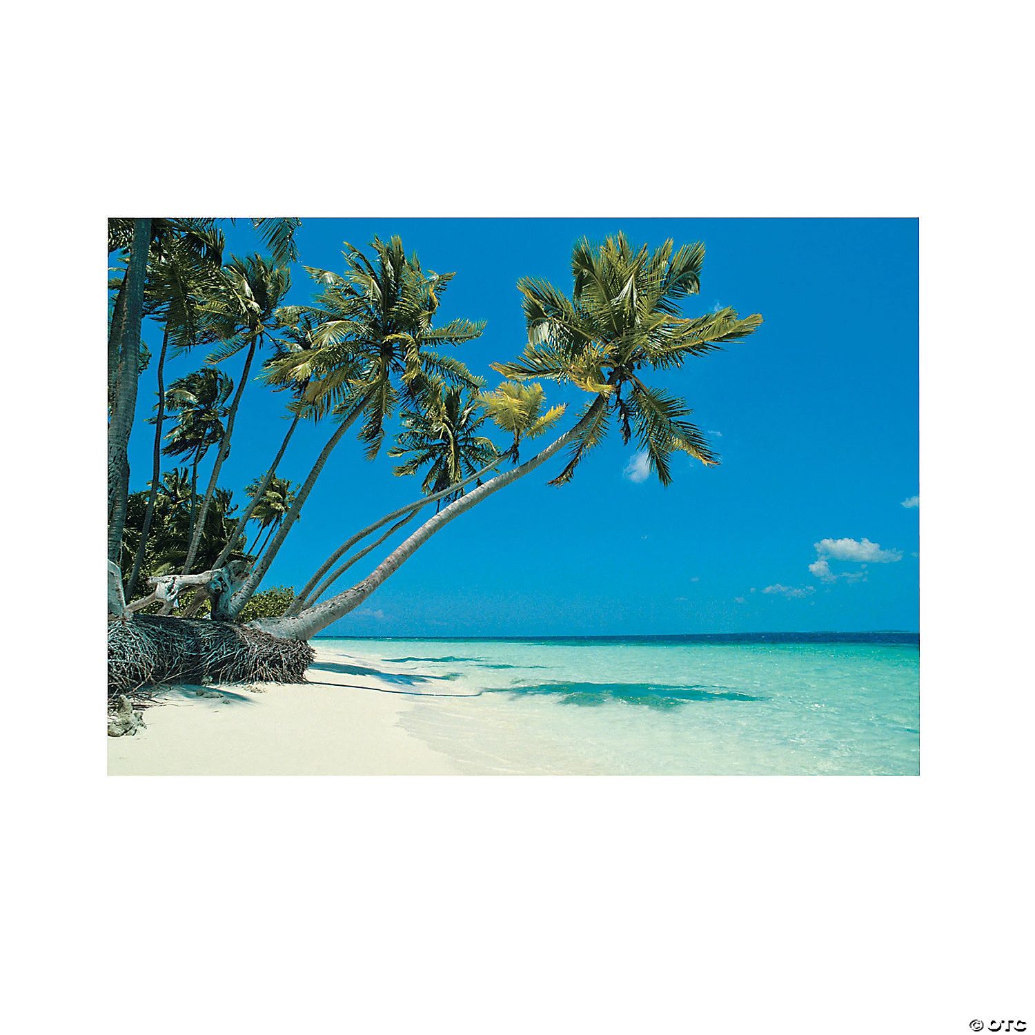 Tropical Beach Backdrop - 3 Pc. 3 Tropical Beach Backdrop - 3 Pc.