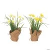 Vickerman 10" Artificial Yellow Daffodil in Burlap Pot 2 Vickerman 10" Artificial Yellow Daffodil in Burlap Pot -Party Decorations Sales Shop vickerman 10 artificial yellow daffodil in burlap pot13938335