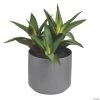 Vickerman 10" Green Aloe - Qty 3 -Party Decorations Sales Shop vickerman 10 green aloe qty 313938323