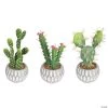 Vickerman 10" Green Cactus in Cement Pot - Qty 3, assorted -Party Decorations Sales Shop vickerman 10 green cactus in cement pot qty 3 assorted13938324