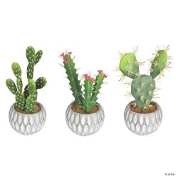 Vickerman 10" Green Cactus in Cement Pot - Qty 3, assorted