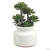 Vickerman 11" Artificial Green Succulent in Round Ceramic Pot -Party Decorations Sales Shop vickerman 11 artificial green succulent in round ceramic pot13938341