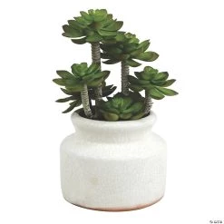 Vickerman 11" Artificial Green Succulent in Round Ceramic Pot