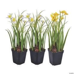 Vickerman 12" Daffodils in Black Plastic Planters Pots, Set of 3