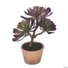 Vickerman 12" Purple and Green Succulent, comes in a Paper Pot 2 Vickerman 12" Purple and Green Succulent, comes in a Paper Pot -Party Decorations Sales Shop vickerman 12 purple and green succulent comes in a paper pot13938362