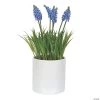 Vickerman 13.5" Artificial Purple Hyacinth Flower in Ceramic Pot -Party Decorations Sales Shop vickerman 13 5 artificial purple hyacinth flower in ceramic pot13938378