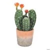Vickerman 14" Green Cactus in Clay Pot