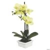Vickerman 15.5" Artificial Green Orchid 2 Vickerman 15.5" Artificial Green Orchid -Party Decorations Sales Shop vickerman 15 5 artificial green orchid13938402