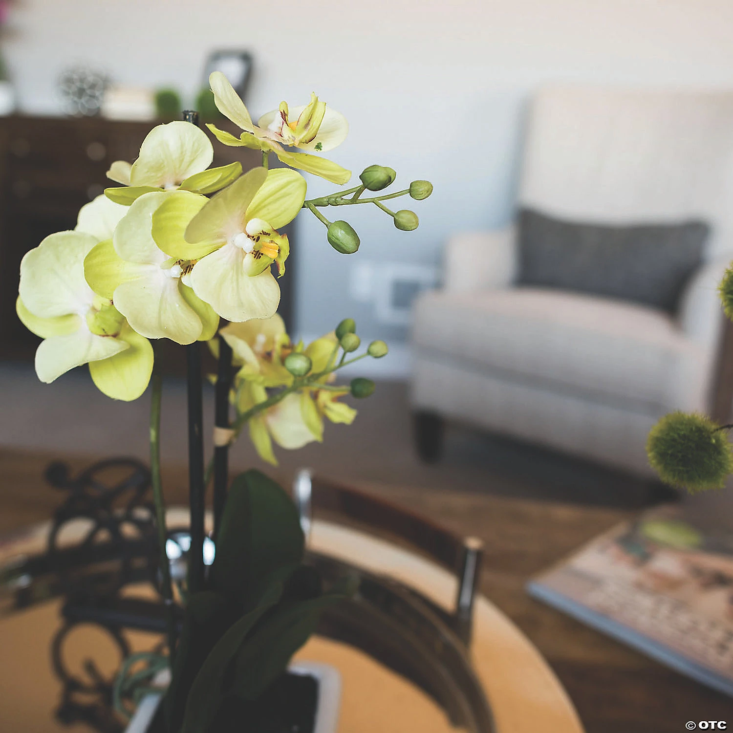 Vickerman 15.5" Artificial Green Orchid 4 Vickerman 15.5" Artificial Green Orchid - Image 2