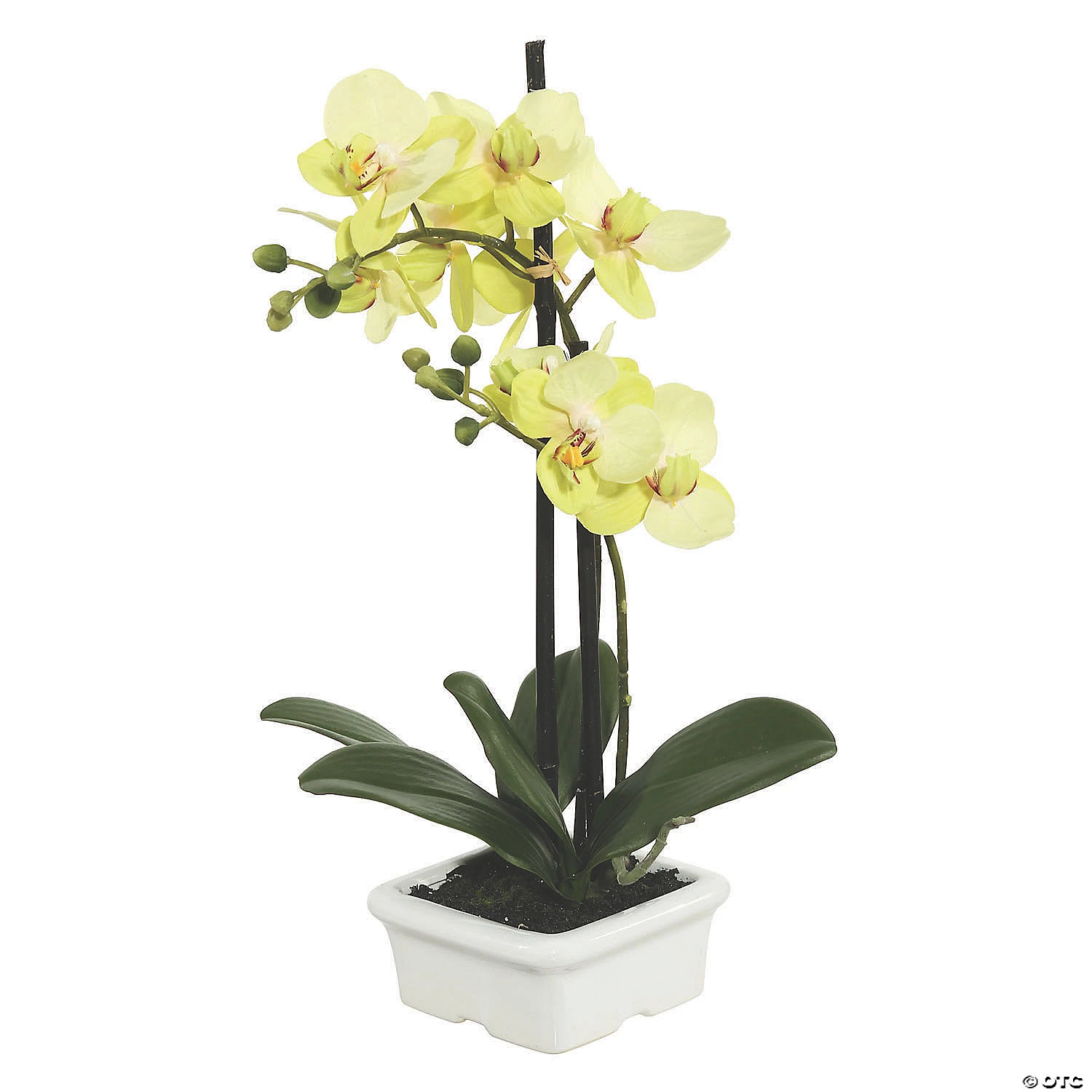 Vickerman 15.5" Artificial Green Orchid 3 Vickerman 15.5" Artificial Green Orchid