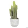 Vickerman 15.5" Green Cactus Plant 2 Vickerman 15.5" Green Cactus Plant -Party Decorations Sales Shop vickerman 15 5 green cactus plant13938400