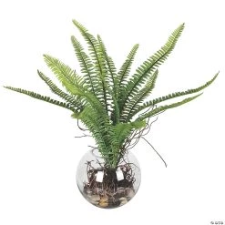 Vickerman 15.5" Green Fern In Glass Pot