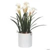 Vickerman 16.5" Artificial White Daffodil in Ceramic Pot -Party Decorations Sales Shop vickerman 16 5 artificial white daffodil in ceramic pot13938420