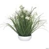 Vickerman 16.5" Potted Cream Cosmos and Green Grass 2 Vickerman 16.5" Potted Cream Cosmos and Green Grass -Party Decorations Sales Shop vickerman 16 5 potted cream cosmos and green grass13938414