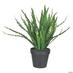 Vickerman 16" Potted Bird Nest Fern