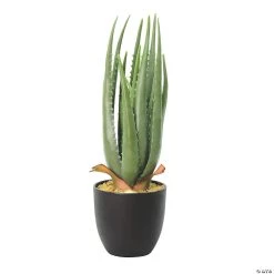 Vickerman 17.5" Artificial Green Potted Aloe Vera