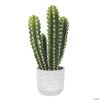 Vickerman 17" Green Cactus Plant 2 Vickerman 17" Green Cactus Plant -Party Decorations Sales Shop vickerman 17 green cactus plant13938425