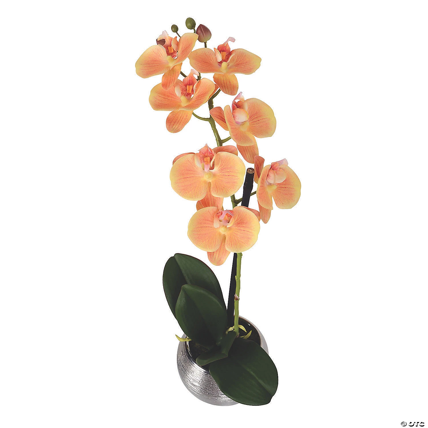 Vickerman 18" Artificial Peach Phalaenopsis In Metal Pot Real Touch Petals 4 Vickerman 18" Artificial Peach Phalaenopsis In Metal Pot Real Touch Petals - Image 2