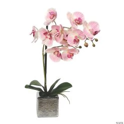 Vickerman 18" Artificial Pink Phalaenopsis In Metal Pot Real Touch Petals