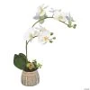 Vickerman 18" Artificial White Orchid in Ceramic Pot 1 Vickerman 18" Artificial White Orchid in Ceramic Pot -Party Decorations Sales Shop vickerman 18 artificial white orchid in ceramic pot13938454