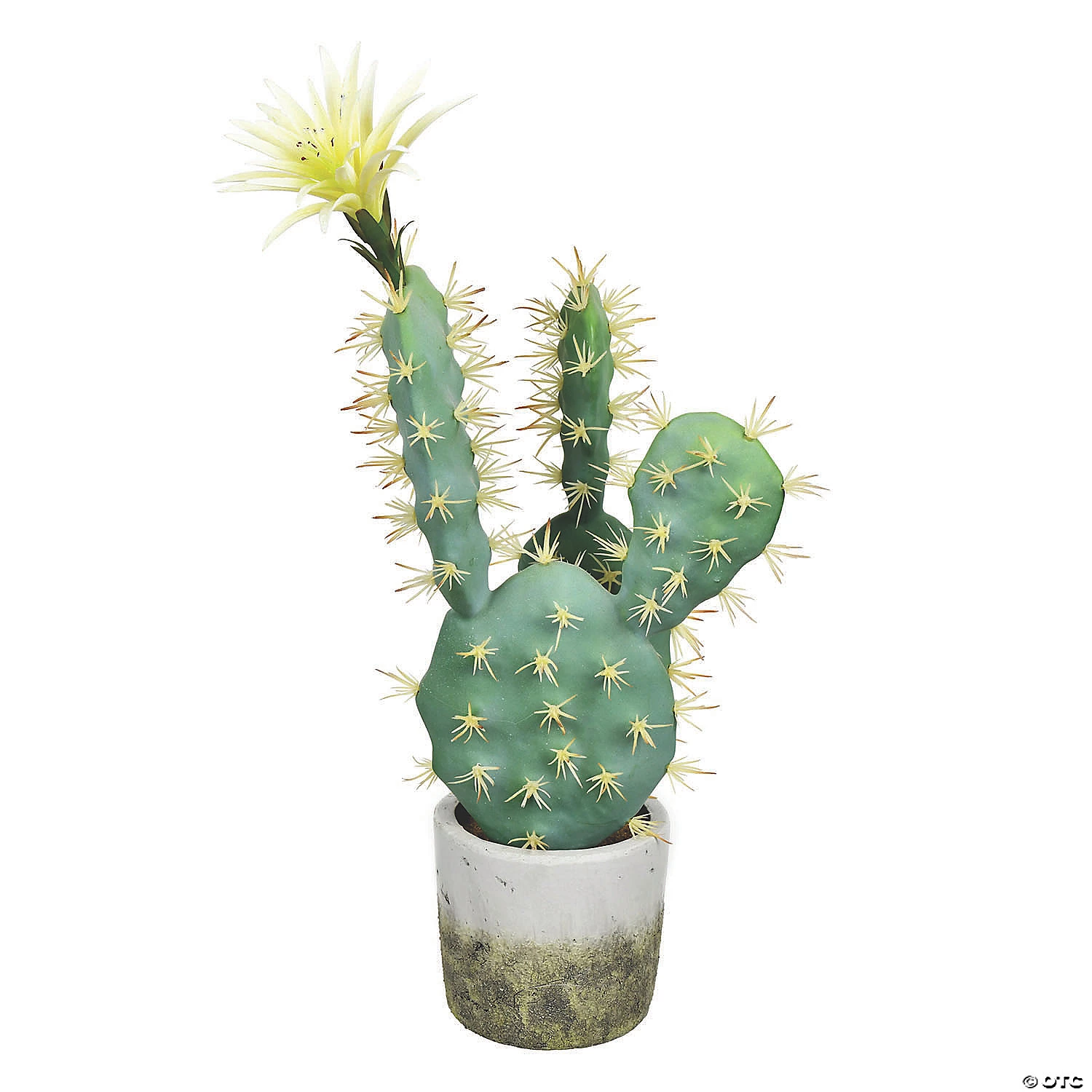 Vickerman 18" Green Cactus in Cement Pot 3 Vickerman 18" Green Cactus in Cement Pot