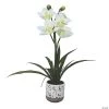 Vickerman 19" Artificial White Cymidium In Pot, Real Touch Petals -Party Decorations Sales Shop vickerman 19 artificial white cymidium in pot real touch petals13938466