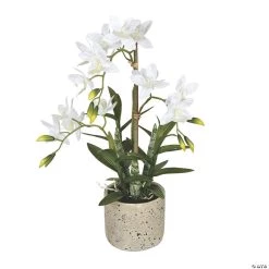 Vickerman 19" Deluxe Potted White Cycnoches