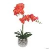 Vickerman 20.5" Potted Real Touch Orange Phalaenopsis Spray